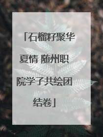 石榴籽聚华夏情 随州职院学子共绘团结卷